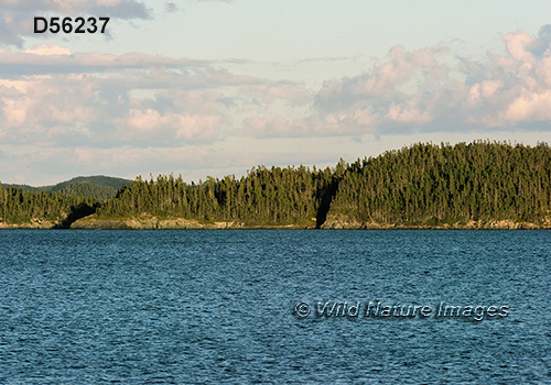 Terra Nova National Park, Newfoundland 